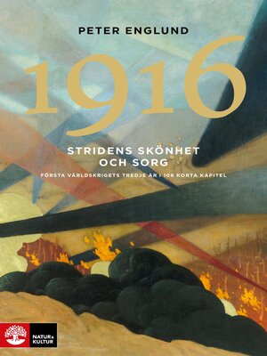 cover image of Stridens skönhet och sorg 1916